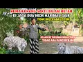 Download Lagu Ngeri !! Kisah Nyata Mbah Suro Orang Sakti Yang Rumahnya Dijaga Dua Harimau Gaib