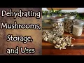 Dehydrating Mushrooms Storage and Uses