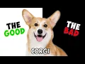 CORGI - PROS CONS