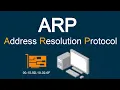 ARP Explained How Address Resolution Protocol ARP Works