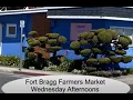 Fort Bragg California on the Mendocino Coast Things are happening in downtown a Farmer s Market