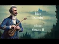 Download Lagu Aan de prachtige blauwe Donau - Strauss