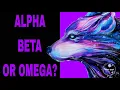 DO YOU THINK YOU ARE AN ALPHA BETA OR OMEGA Personality test
