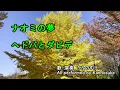 ナオミの夢　ヘドバとダビデ　日本語版歌詞付き　フルカバー
