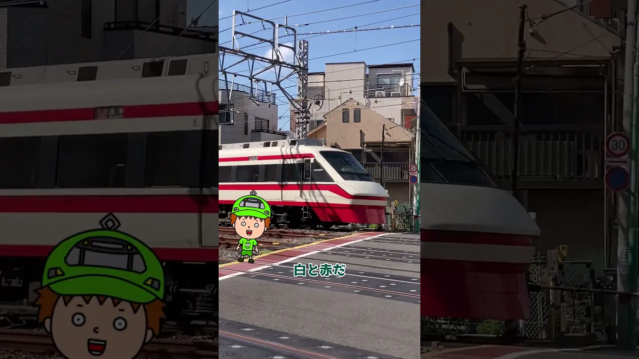 東武200系電車りょうもうを見る
