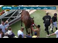 Ah Jeez wins race 4 at Del Mar 26