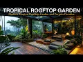 Download Lagu Contemporary Charm: Transforming Your Rooftop with a Modern Tropical Garden and Pergola Paradise