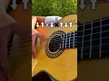 How to play flamenco acoustic guitar easy level for beginner tutorial