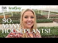 Proven Winners leafjoy Greenhouse Tour Trip to Virginia to See Where These Babies Grow