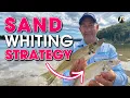 Download Lagu My Sand Whiting Strategy + WHOPPER By-Catch: Estuary Fishing 😲🐟🐟🐟