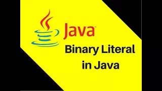 4 4 Binary Literal in Java