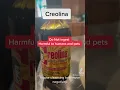 Floor wash creolina