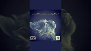 sneshnum6er9 x adonyol 3 coolcatz