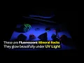 Fluorescent Mineral Rocks Glowing Under UV Light -