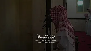محمد النقيدان سورة البقرة ١٦٥ ١٦٧ 
