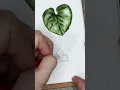 Botanical Drawing Tip