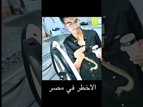 تجربة مجنونة: سم الأفاعي × دمي