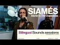 Download Lagu Siamés - Alone In The Darkness (LIVE from Bilingual Sounds \u0026 The SoCal Sound)