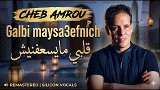                                   الشاب عمرو   قلبي ميسعفنيش دندنها