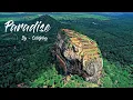 Download Lagu Paradise - Coldplay (Whatsapp Status)