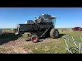 F2 Gleaner Combine Grain Header - Lot 19703