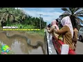 Download Lagu Warga Tak Sengaja Rekam Piton Raksasa Meliuk Meliuk Disungai Kalimantan Barat!! Sebesar Drum...
