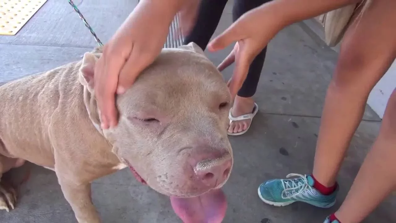 ROMEO'S FREEDOM VIDEO!