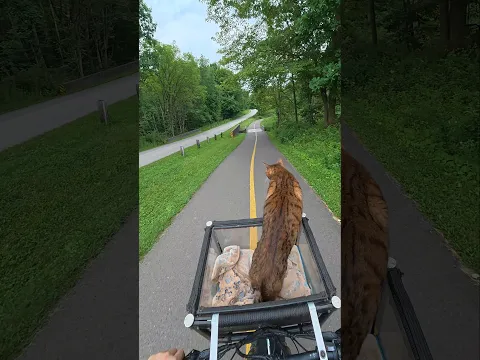 Pouncey hasn't been out on a bike trail in forever. He still loves it!