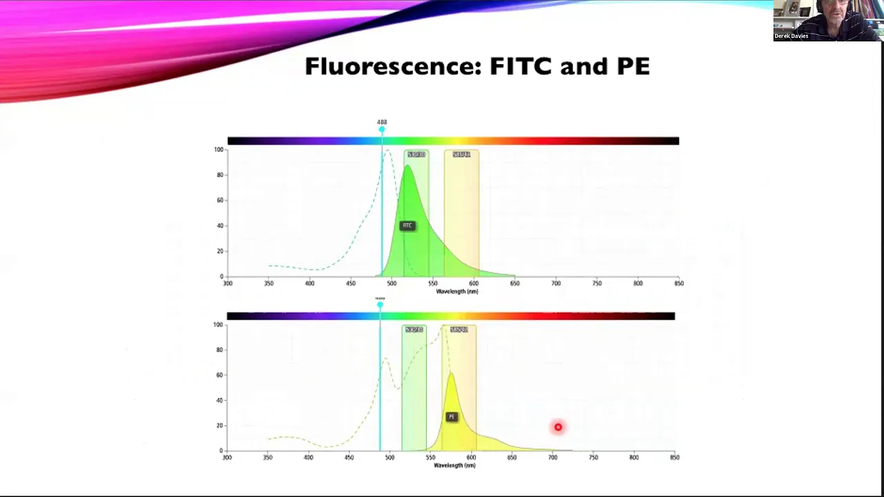 OpenFlow: Fluorescence Compensation in Diva