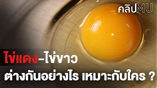ไข่แดง ไข่ขาว ต่างกันอย่างไร เหมาะกับใคร | คลิป MU