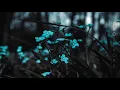 Subsets - Alpine