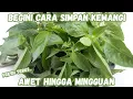 Lagu Cara Simpan Kemangi Praktis Tetap Segar Hingga Mingguan