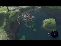 BotW BTBing into a Korok flower circle