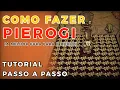 A MELHOR cura para o inicio do jogo Pierogi Don t Starve Together