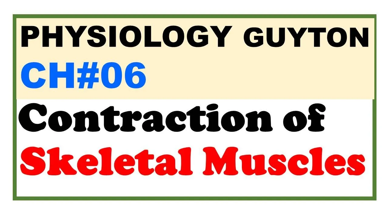 Chp#06 | Contraction of SKELETAL Muscles | Guyton Physiology | Dr Asif Lectures