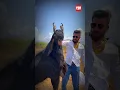 Download Lagu Khalnayak Bakra - MD Goat Farm