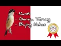 Download Lagu 1 🔴 TOP Masteran Cendet Juara 🥇🏆🚩 