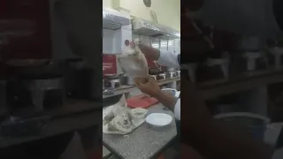 عمار الفني يابابا 