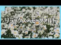 Download Lagu リラックス・モーツァルト～Relax Mozart