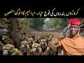 Download Lagu Millions of Monkey's Force is Ready | Ibrahim Traore New Project