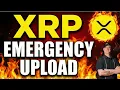 Lagu XRP BITCOIN 🚨 EMERGENCY UPLOAD UPDATE ‼️