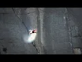 2026 s First Wingsuit Deaths are Nearly Unbelievable