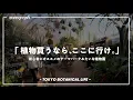 Download Lagu 【初心者おすすめ】観葉植物が安くて楽しすぎるあの「楽園」に行ってきた【TBL43】