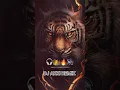 Download Lagu HIGH GAIN HORN COMPETITION TRACK #hubli #dj #competition #viral