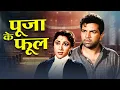 Lagu पूजा के फूल - Pooja Ke Phool (1964) Full Hindi Movie | Ashok Kumar, Dharmendra, Mala Sinha, Nimmi