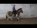 Download Lagu super pony