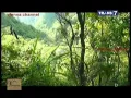 Download Lagu Jejak Jejak Misterius Trans 7 - 16 Maret 2015 - Gunung Lawu Dinasti Terakhir Harimau Jawa