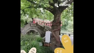 Stand By Me In China 