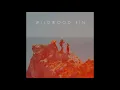 Wildwood Kin - Wake Up Sleeper (Official Audio)