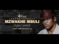 Download Lagu Vuka Darkie by Mzwakhe Mbuli